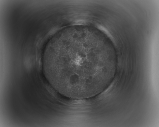 X0000089881403200707121804