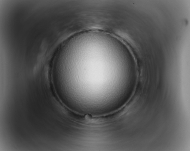 X0000089881404200707121804