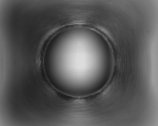 X0000089881406200707121804