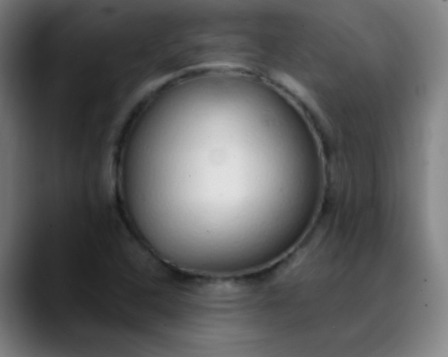 X0000089881408200707121804