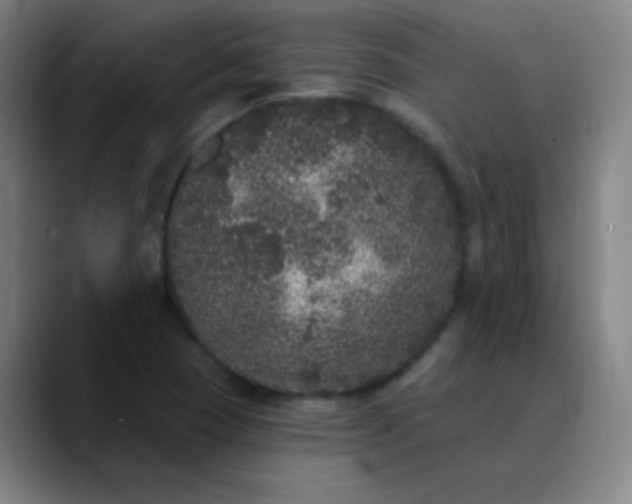 X0000089881409200707121804