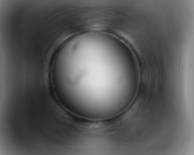 X0000089881410200707121804