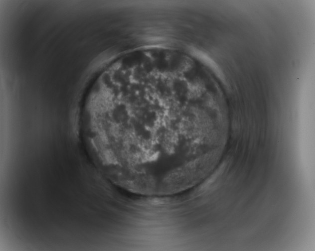 X0000089881411200707121804