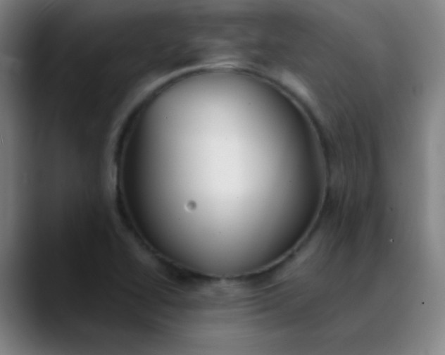 X0000089881414200707121804