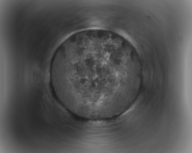 X0000089881415200707121804