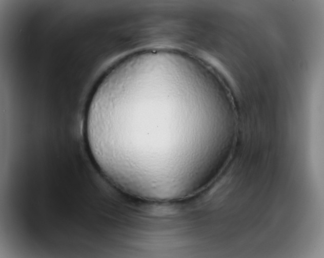 X0000089881416200707121804