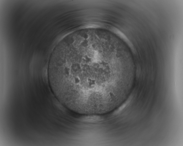 X0000089881417200707121804