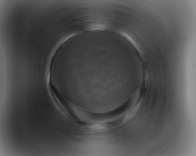 X0000089881418200707121804