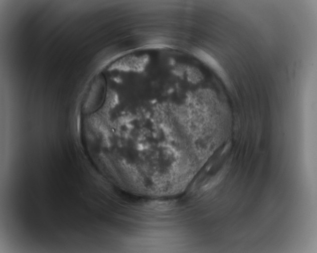 X0000089881419200707121804