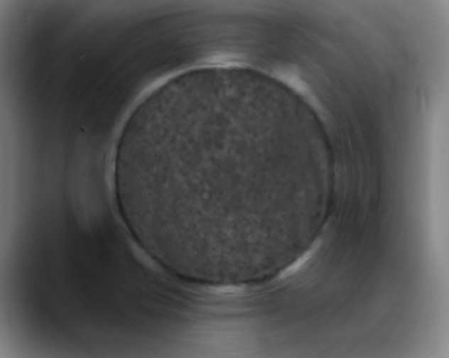 X0000089881421200707121804