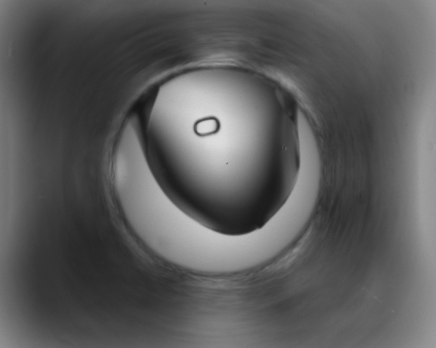 X0000089881422200707121804