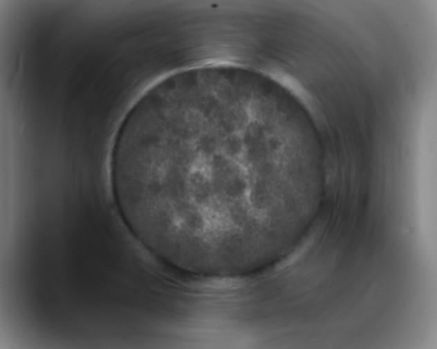 X0000089881423200707121804