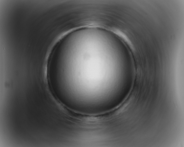 X0000089881424200707121804