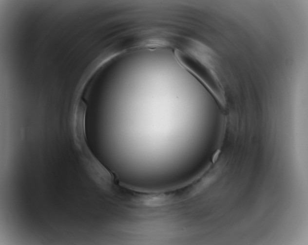 X0000089881426200707121804