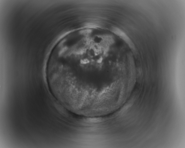 X0000089881427200707121804