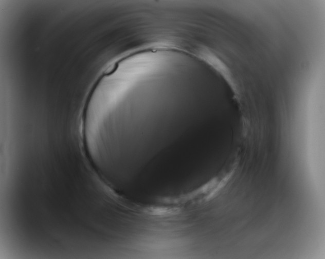 X0000089881428200707121804