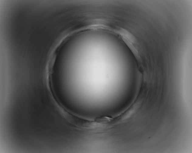 X0000089881430200707121804