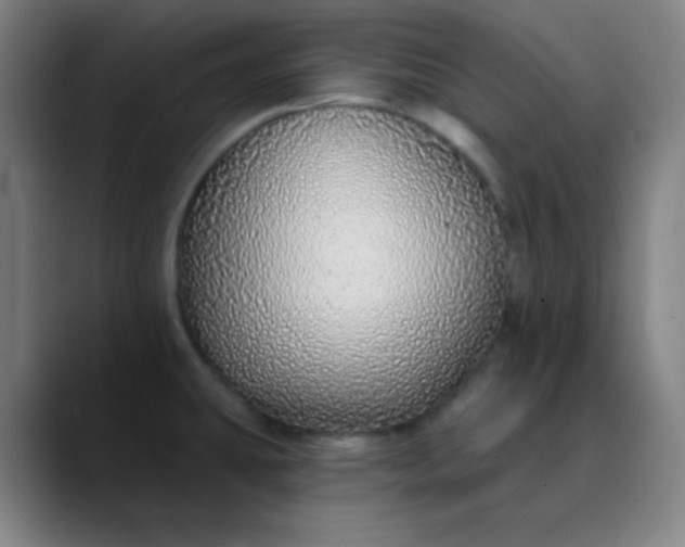 X0000089881431200707121804