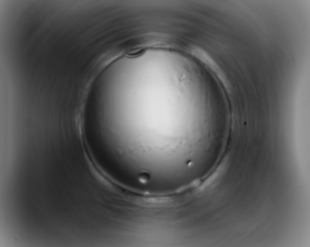 X0000089881433200707121804