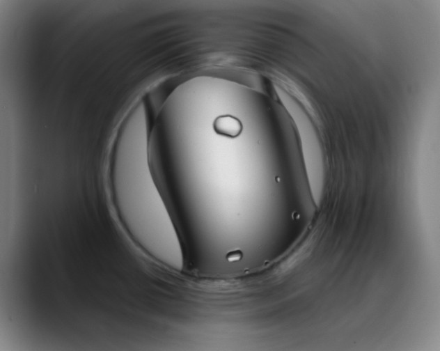 X0000089881434200707121804