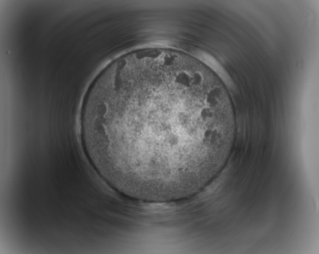 X0000089881436200707121804