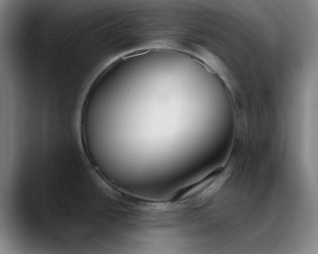 X0000089881438200707121804