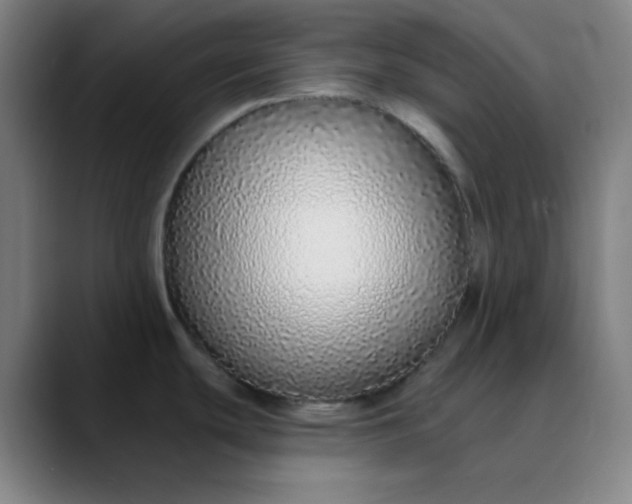 X0000089881439200707121804