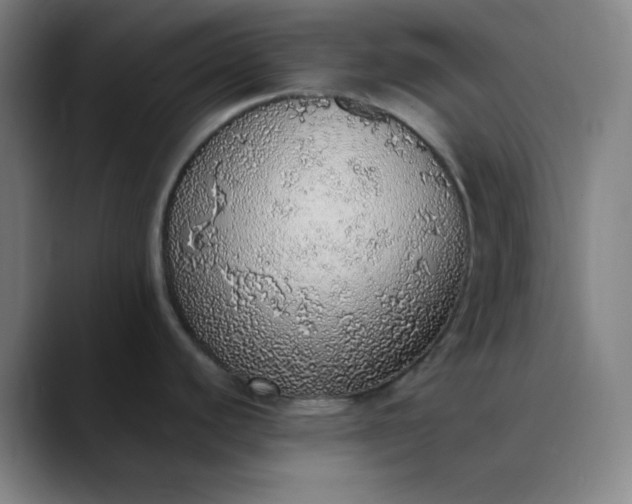 X0000089881440200707121804