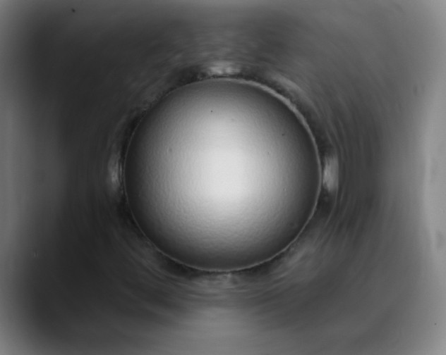 X0000089881444200707121804