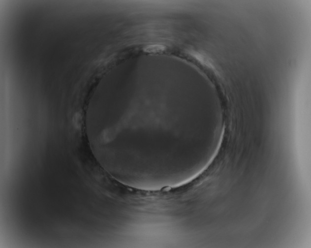 X0000089881445200707121804