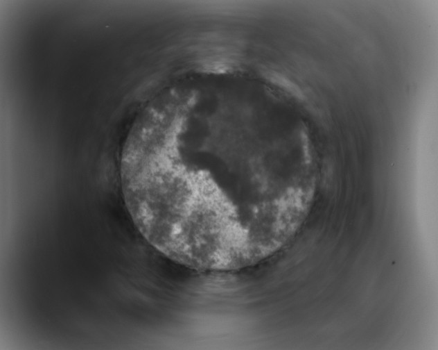 X0000089881446200707121804