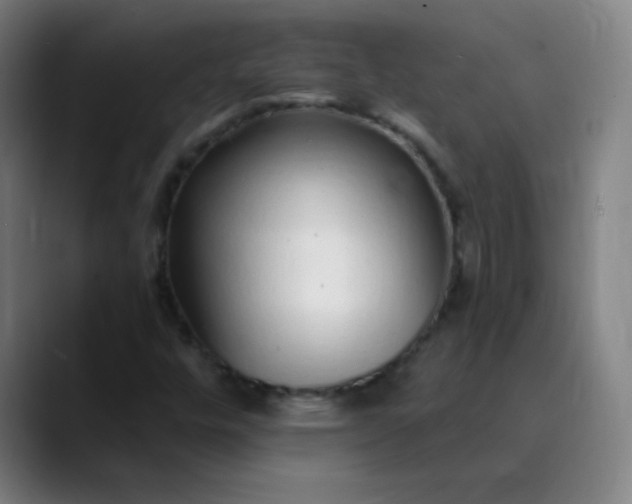 X0000089881448200707121804