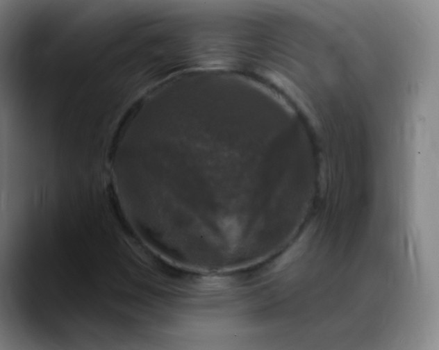 X0000089881449200707121804