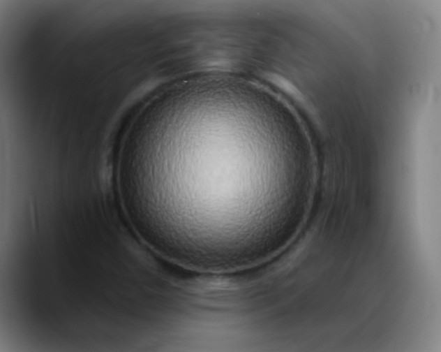 X0000089881450200707121804