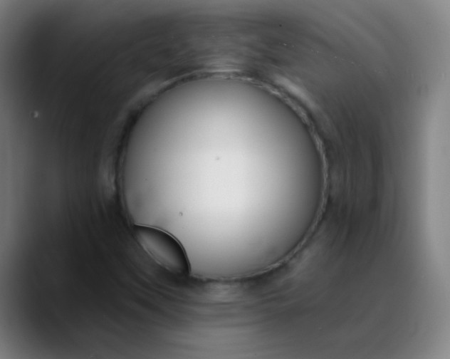 X0000089881451200707121804