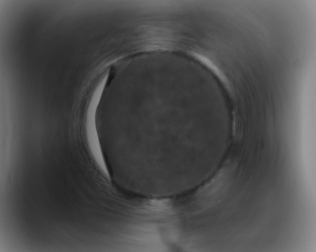 X0000089881453200707121804