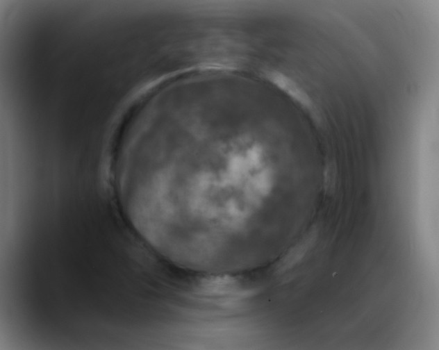 X0000089881454200707121804