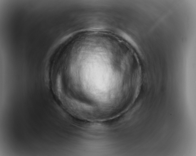 X0000089881456200707121804