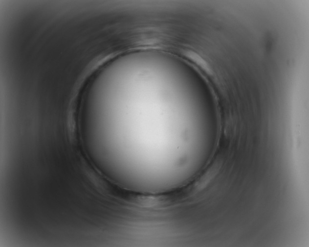 X0000089881458200707121804