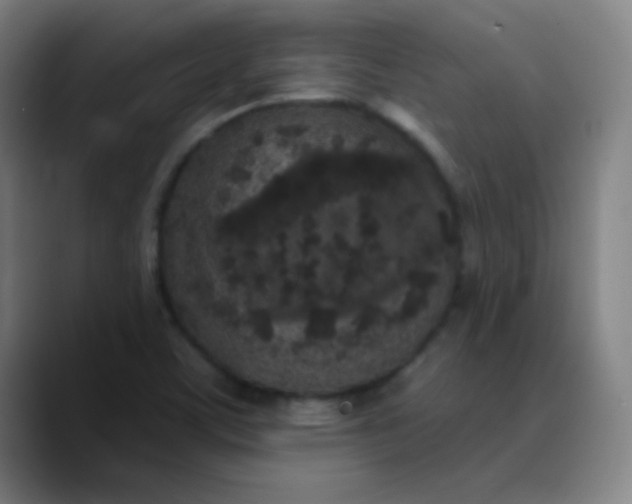 X0000089881459200707121804