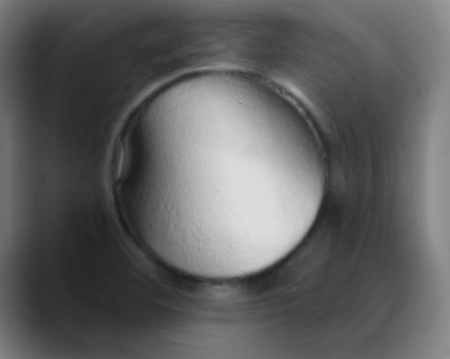 X0000089881460200707121804