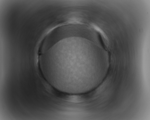 X0000089881461200707121804