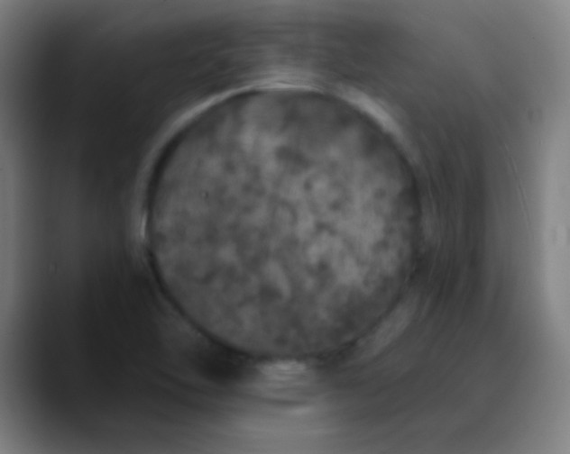 X0000089881462200707121804