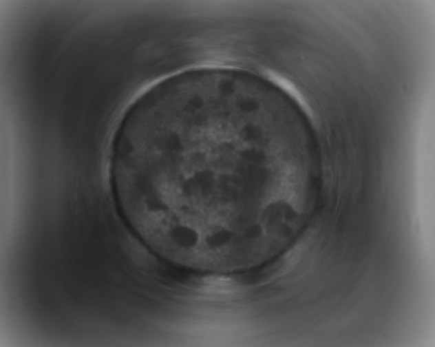 X0000089881463200707121804