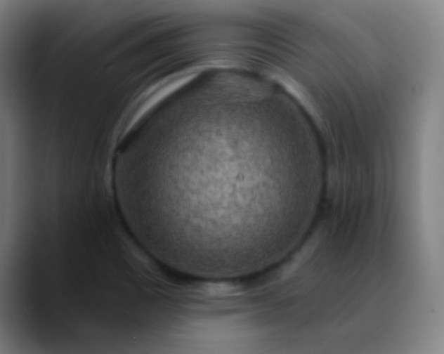 X0000089881465200707121804