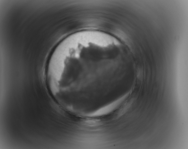 X0000089881466200707121804