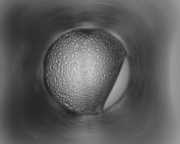 X0000089881467200707121804