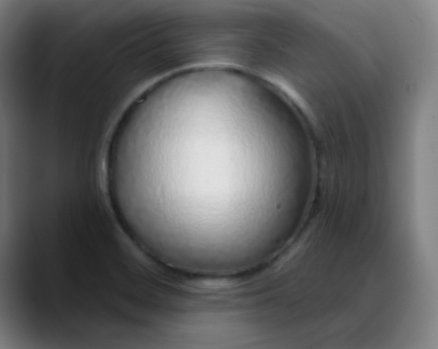 X0000089881468200707121804