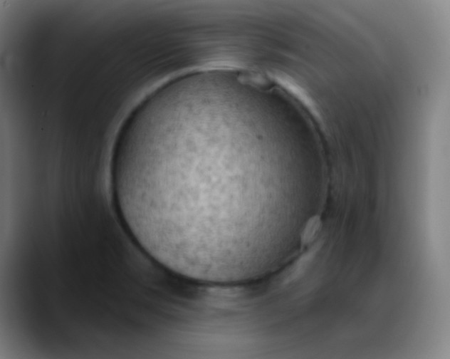 X0000089881469200707121804