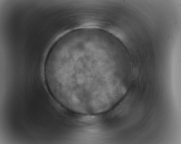 X0000089881470200707121803